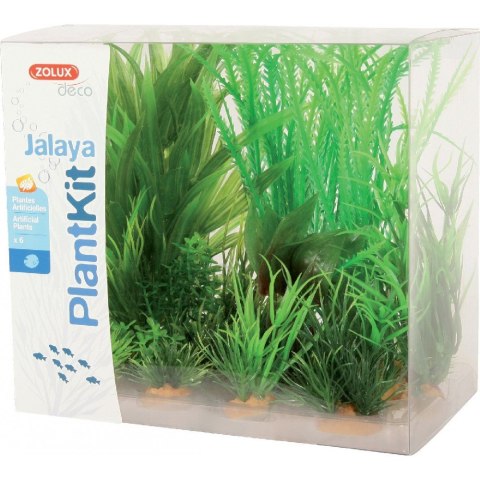 ZOLUX Dekoracja roślinna PLANTKIT JALAYA model 1 (352145) ZOLUX Dekoracja roślinna PLANTKIT JALAYA model 1 (352145)