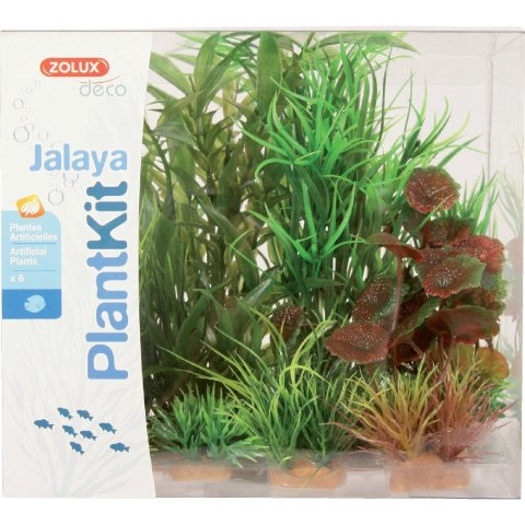 ZOLUX Dekoracja roślinna PLANTKIT JALAYA model 2 (352146) ZOLUX Dekoracja roślinna PLANTKIT JALAYA model 2 (352146)