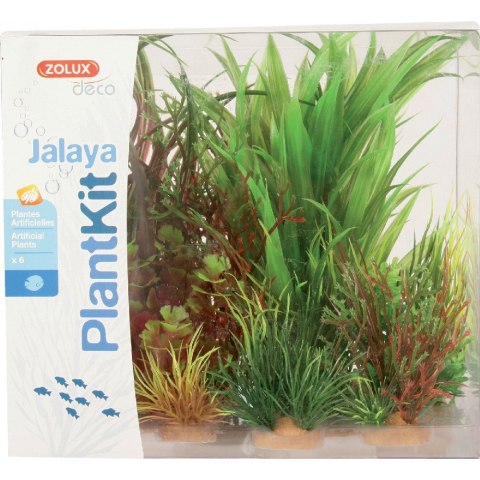 ZOLUX Dekoracja roślinna PLANTKIT JALAYA model 3 (352147) ZOLUX Dekoracja roślinna PLANTKIT JALAYA model 3 (352147)
