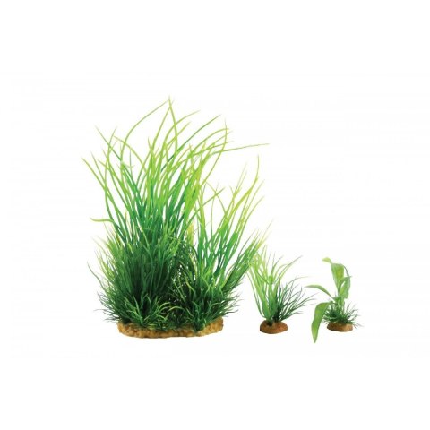 ZOLUX Dekoracja roślinna PLANTKIT WIHA model 1 (352140) ZOLUX Dekoracja roślinna PLANTKIT WIHA model 1 (352140)