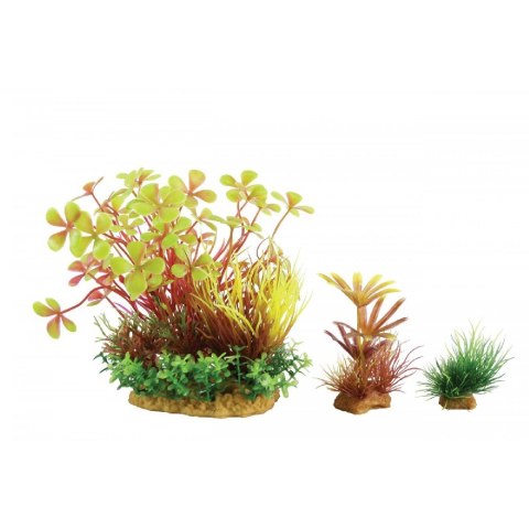 ZOLUX Dekoracja roślinna PLANTKIT WIHA model 4 (352143) ZOLUX Dekoracja roślinna PLANTKIT WIHA model 4 (352143)