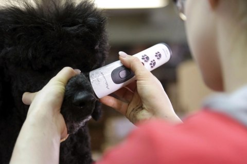 Aesculap Maszynka Do Strzyżenia Akkurata Akumulatorowa Biała AESCULAP Aesculap Maszynka Do Strzyżenia Akkurata Akumulatorowa Biała AESCULAP