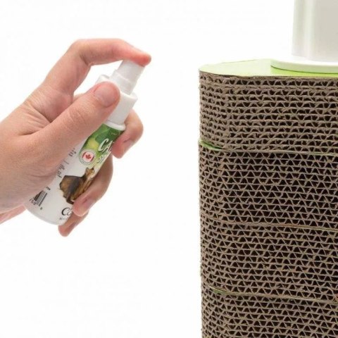 CATIT Kocimiętka W Sprayu 60ml Catit CATIT Kocimiętka W Sprayu 60ml Catit