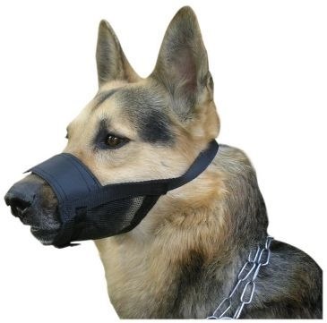 Dingo Kaganiec Weterynaryjny Nylonowy Dla Psa Rozmiar 1 13-16cm Dingo Dingo Kaganiec Weterynaryjny Nylonowy Dla Psa Rozmiar 1 13-16cm Dingo