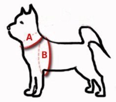 Dingo Reflex Szelki Odblaskowe Step-In Dla Psa Czerwone Rozmiar 70 Dingo Dingo Reflex Szelki Odblaskowe Step-In Dla Psa Czerwone Rozmiar 70 Dingo