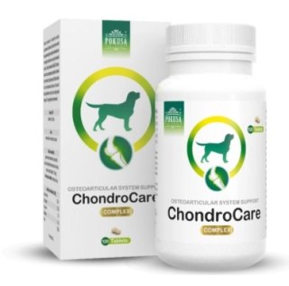 POKUSA ChondroLine ChondroCare 120 tab. POKUSA FOR HEALTH
