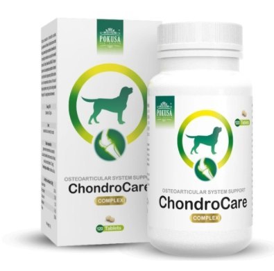 POKUSA ChondroLine ChondroCare 120 tab. POKUSA FOR HEALTH POKUSA ChondroLine ChondroCare 120 tab. POKUSA FOR HEALTH