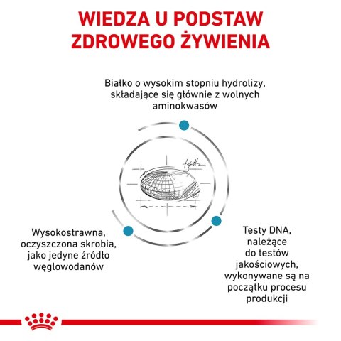 ROYAL CANIN Anallergenic Cat 4kg Royal Canin weterynaria ROYAL CANIN Anallergenic Cat 4kg Royal Canin weterynaria