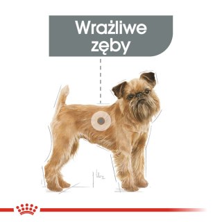 ROYAL CANIN CCN Mini Dental Care 8kg Royal Canin