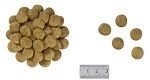 ROYAL CANIN Renal Special Canine 2kg Royal Canin weterynaria ROYAL CANIN Renal Special Canine 2kg Royal Canin weterynaria