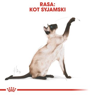 ROYAL CANIN Siamese Adult 2kg Royal Canin