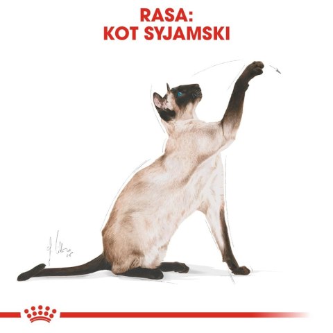 ROYAL CANIN Siamese Adult 2kg Royal Canin ROYAL CANIN Siamese Adult 2kg Royal Canin