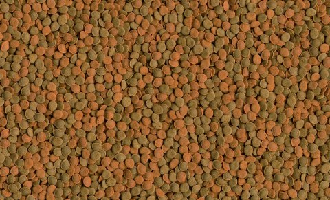 Tetra Wafer Mix 100ml TETRA Tetra Wafer Mix 100ml TETRA