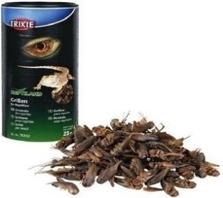 Trixie Suszone Świerszcze 25g Trixie