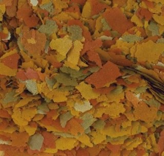Tropical Goldfish Color 1000ml Tropical