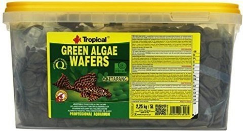 Tropical Green Algae Wafers 5000ml Tropical Tropical Green Algae Wafers 5000ml Tropical