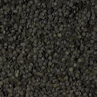 Tropical Super Spirulina Forte Chips 100ml Tropical