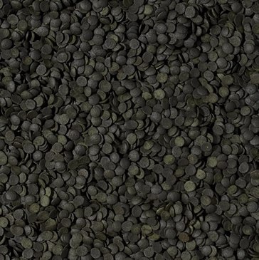 Tropical Super Spirulina Forte Chips 100ml Tropical Tropical Super Spirulina Forte Chips 100ml Tropical