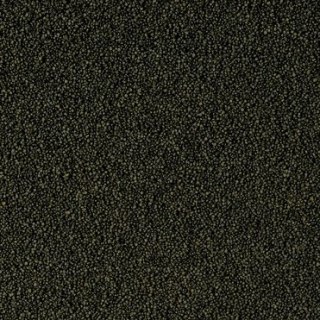 Tropical Super Spirulina Forte Mini Granulat 100ml Tropical