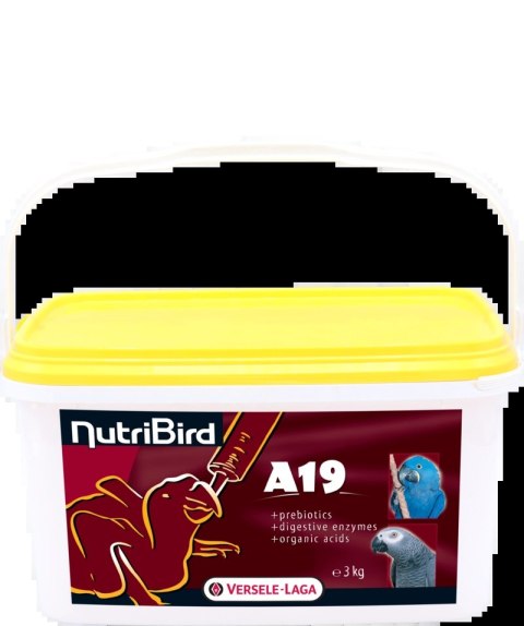 Versele-Laga NutriBird A19 Pokarm Do Ręcznego Karmienia Piskląt 3kg Versele-Laga Versele-Laga NutriBird A19 Pokarm Do Ręcznego Karmienia Piskląt 3kg Versele-Laga