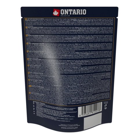 ONTARIO Saszetka Karp z warzywami w bulionie 300g (214-3393)