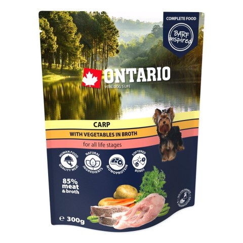 ONTARIO Saszetka Karp z warzywami w bulionie 300g (214-3393)