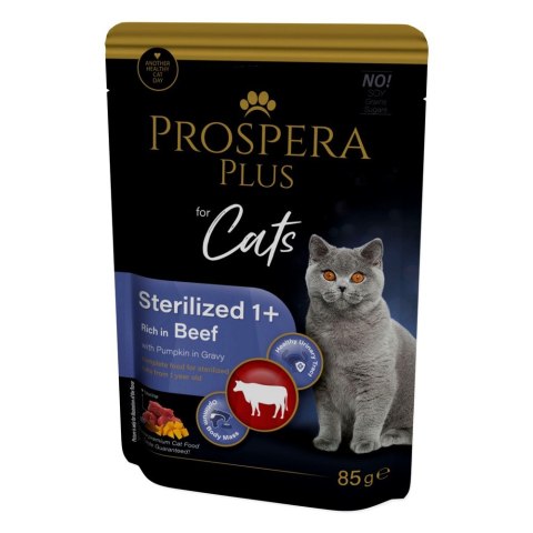 PROSPERA Plus Saszetka sterylizowany 1+, wołowina, dynia 85g (1513-10107)