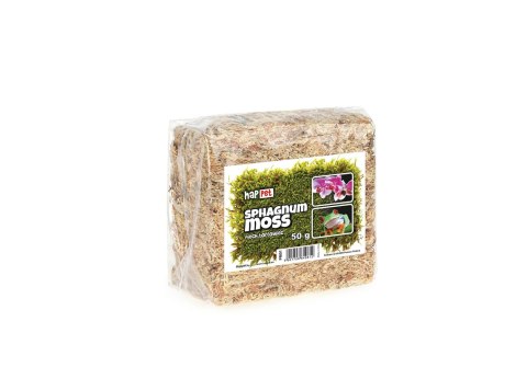 Mech torfowiec Sphagnum moss 50g Mech torfowiec Sphagnum moss 50g