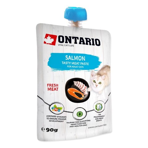 ONTARIO Salmon Fresh Meat Paste 90g (213-52713)