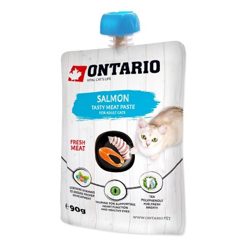 ONTARIO Salmon Fresh Meat Paste 90g (213-52713)