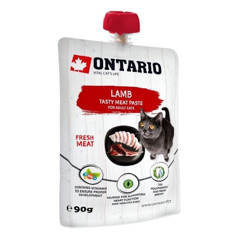ONTARIO Lamb Fresh Meat Paste opak. 8x90g (213-526131)