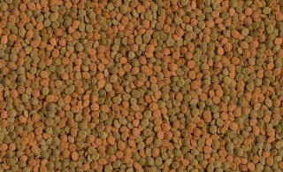 Tetra Wafer Mix 100ml