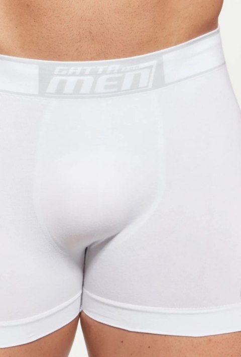 BOKSERKI BOXER COTTON GATTA
