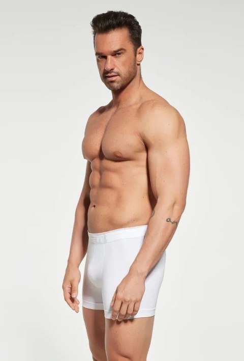 BOKSERKI BOXER COTTON GATTA
