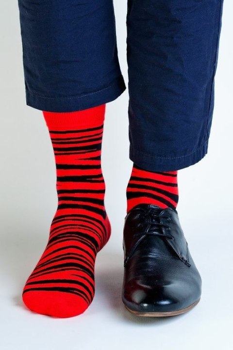 SKARPETY MĘSKIE BAMBUS WZÓR REGINA SOCKS