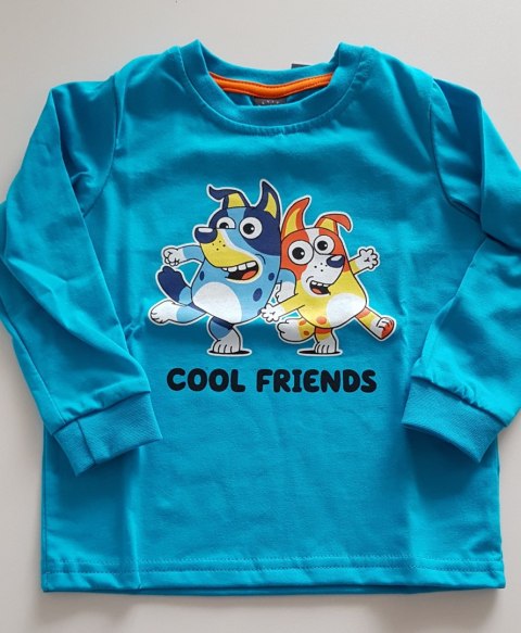 BLUZKA CHŁOPIĘCA COOL FRIENDS DR R.98-110 SALE ŻAREK BLUZKA CHŁOPIĘCA COOL FRIENDS DR R.98-110 SALE ŻAREK