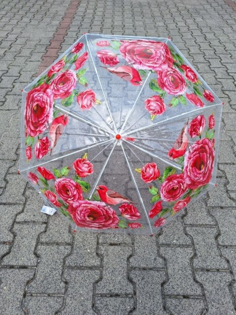 PARASOL DA154/LD20 PARASOL