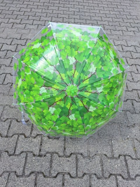 PARASOL DA154/LD20 PARASOL