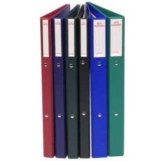 TECZKA AKTA OSOBOWE BIURFOL PVC A4 BORDOWA