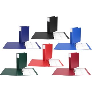 Segregator do akt osobowych Biurfol A4/5.5cm 2R zi