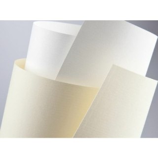 KARTON OZDOBNY A4/230g SKÓRA KREMOWY (20)