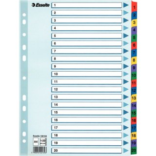 PRZEKŁADKI MYLAR ESSELTE A4 1-20